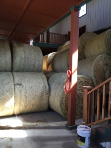 Hay is (mostly) in the Barn