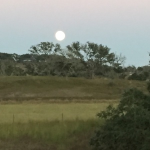 Super Moon Hovers Over Medicine Spirit Ranch