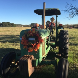 Who are those strange straw people driving the Thanksgiving-decorated tractor?